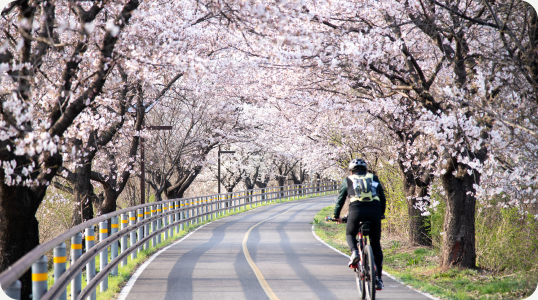 Cycling